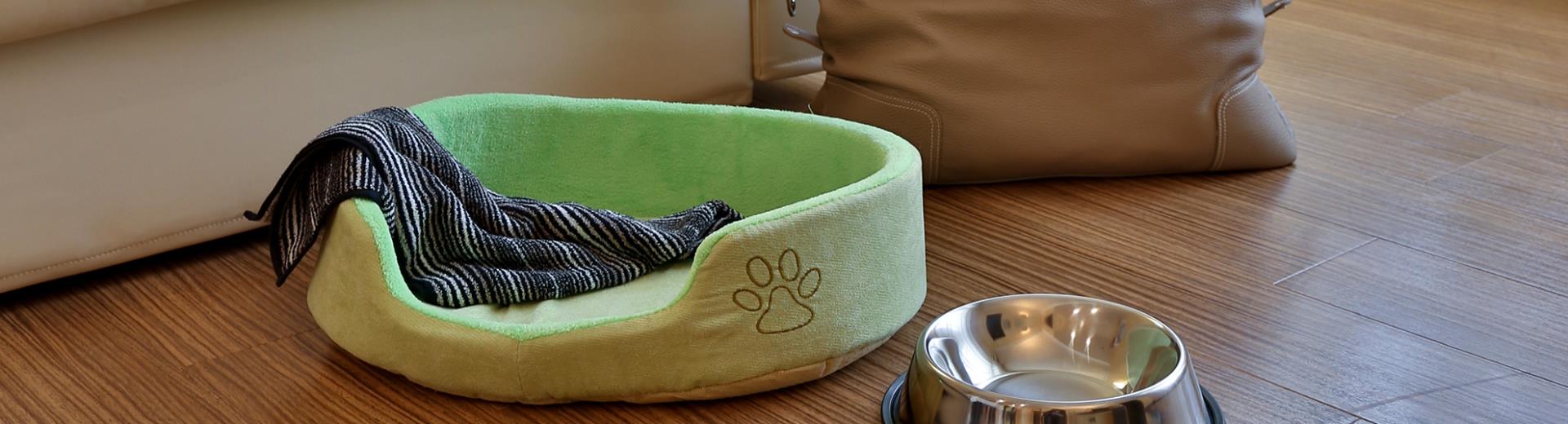 If you travel with your pet the BW Hotel Biri in Padua offer special services for you and you pet: pets are Welcome!