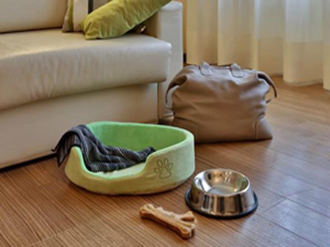 Camera Pet Friendly - Best Western Hotel Biri Padova L'hotel Biri in centro a Padova è l'ideale per te e per il tuo amico a 4 zampe!
