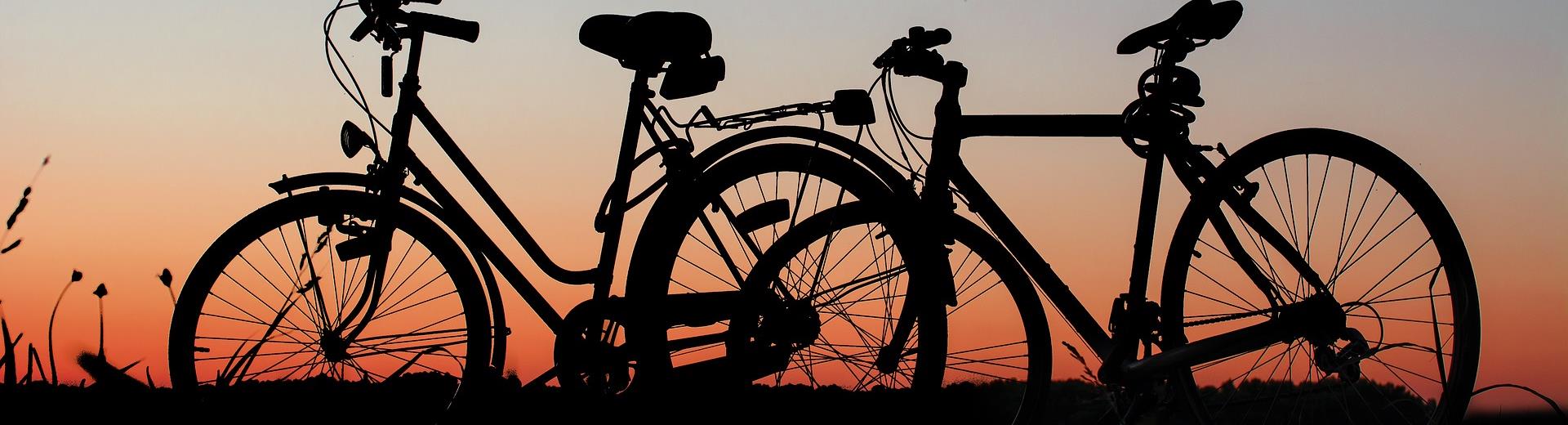 Best Western Hotel Biri, Padova 4 star, has a convenient city bike rental: find out all the most interesting itineraries in the area!